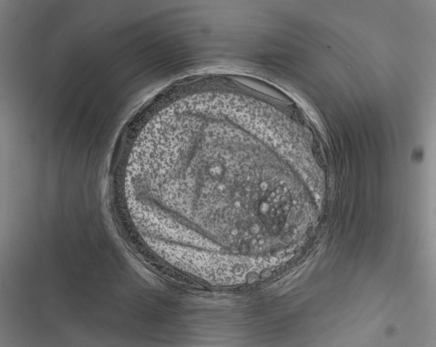 X0000116870437201001191726