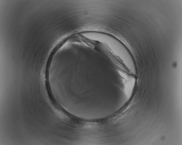 X0000116870438201001191726