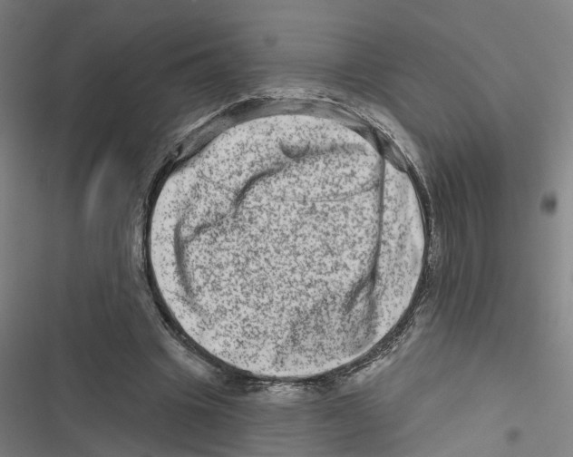 X0000116870441201001191726