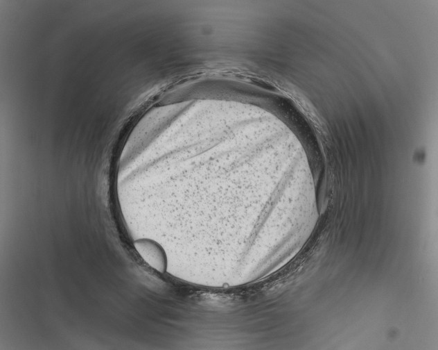 X0000116870442201001191726