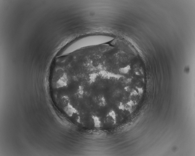 X0000116870443201001191726