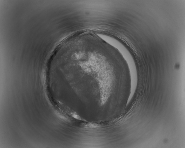 X0000116870444201001191726