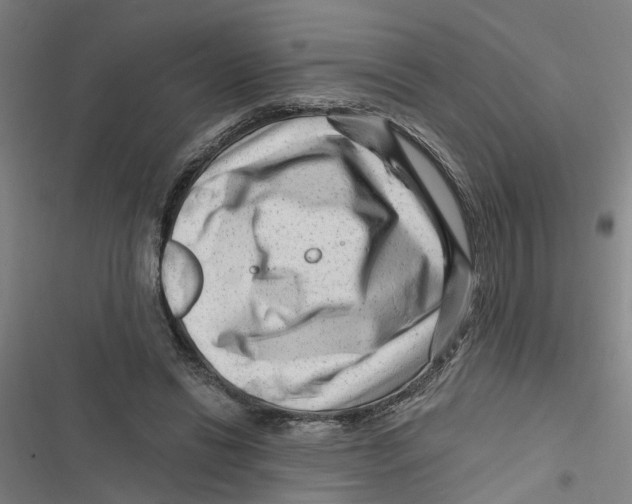 X0000116870446201001191726