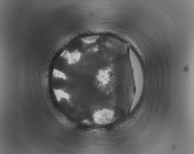X0000116870447201001191726