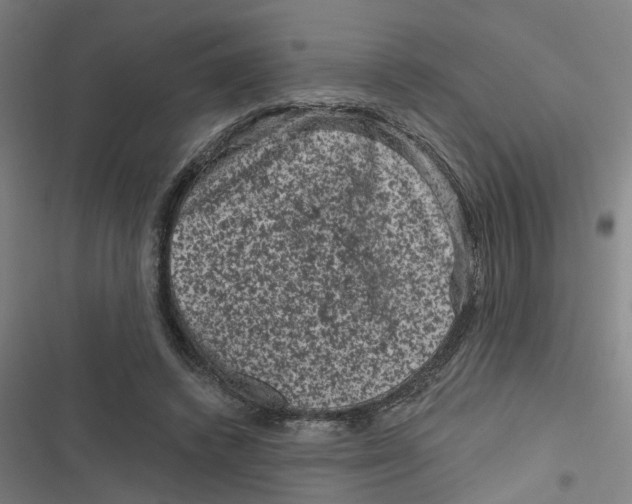 X0000116870448201001191726