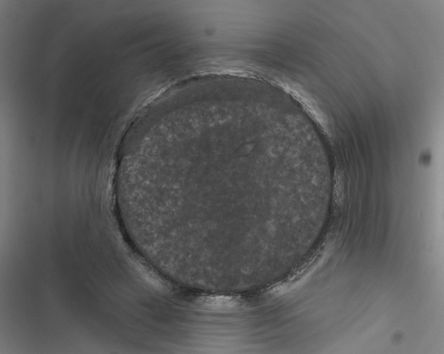 X0000116870449201001191726