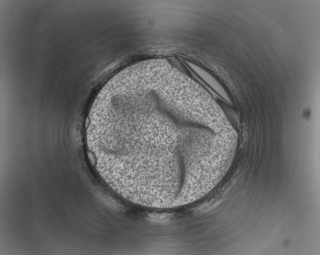 X0000116870450201001191726