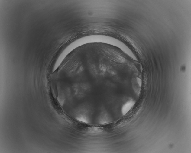 X0000116870451201001191726