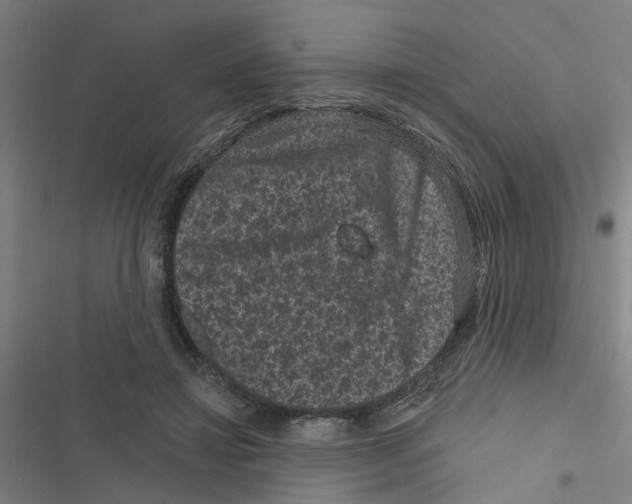 X0000116870452201001191726
