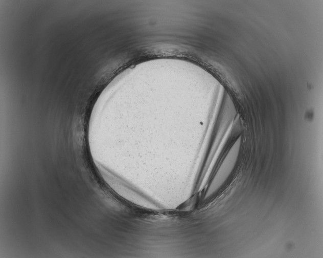 X0000116870453201001191726
