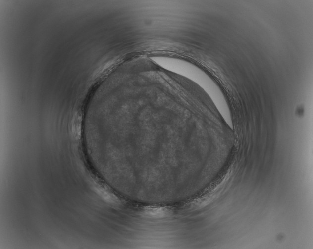 X0000116870454201001191726