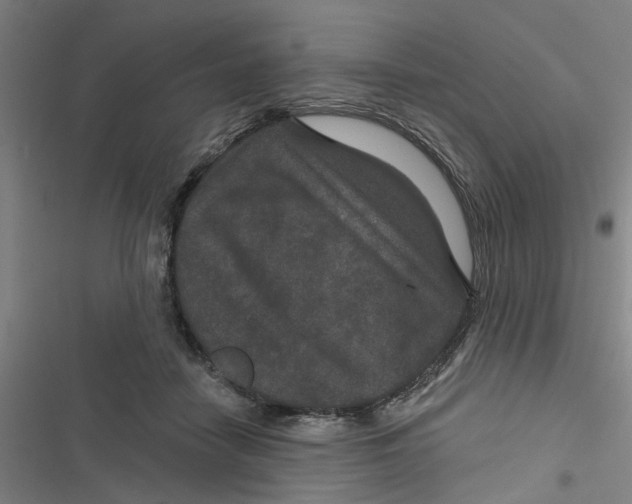 X0000116870458201001191726