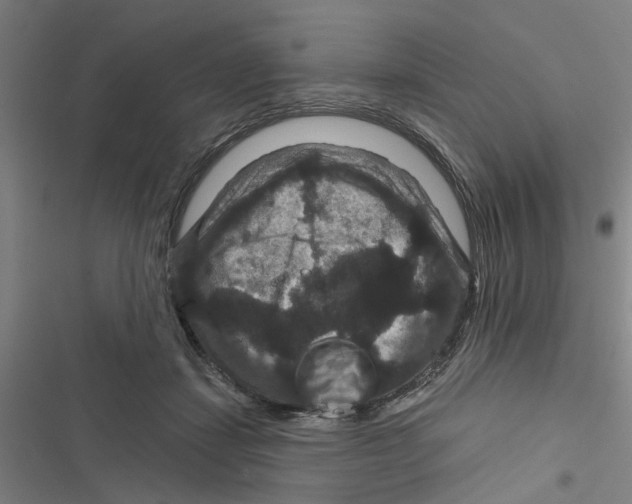 X0000116870459201001191726