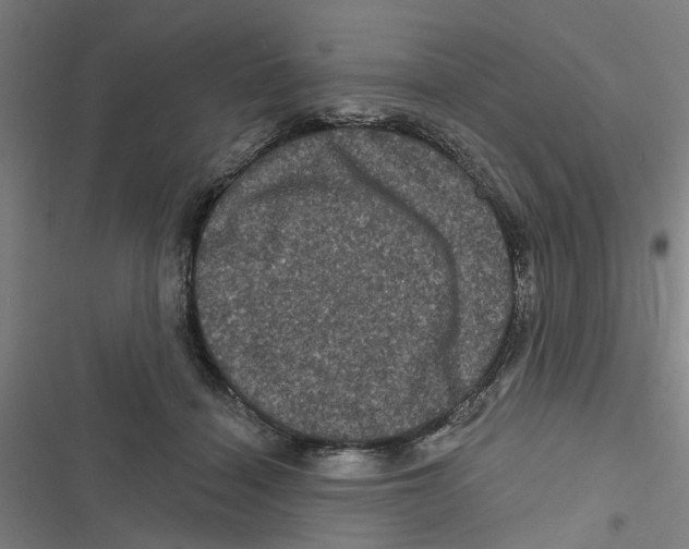 X0000116870460201001191726