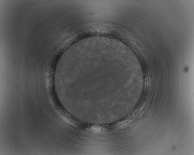 X0000116870464201001191726