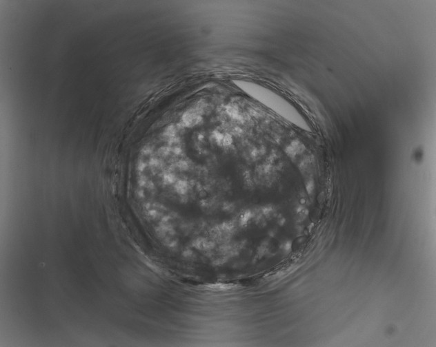 X0000116870465201001191726