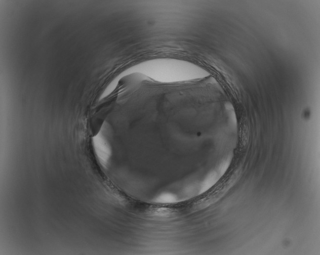X0000116870467201001191726