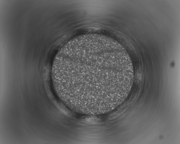 X0000116870468201001191726