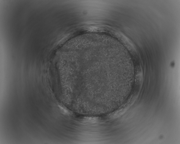 X0000116870469201001191726