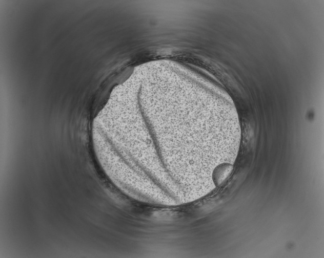X0000116870470201001191726