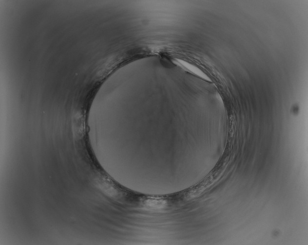 X0000116870471201001191726