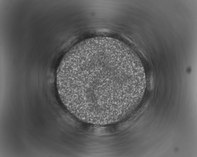 X0000116870472201001191726