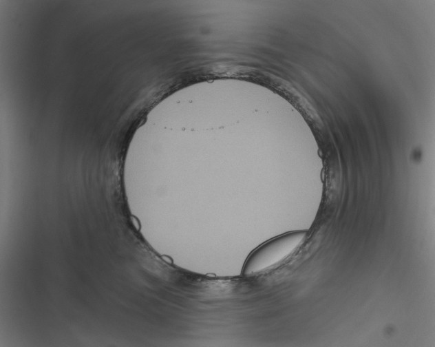 X0000116870473201001191726