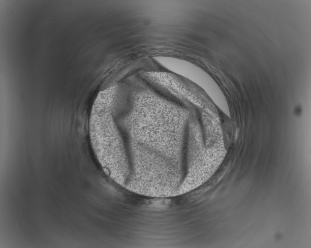 X0000116870474201001191726