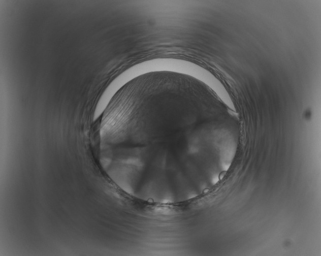 X0000116870475201001191726
