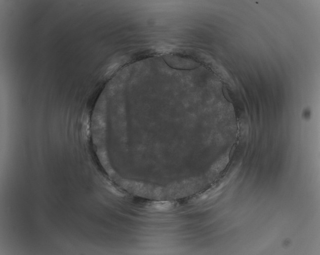 X0000116870479201001191726