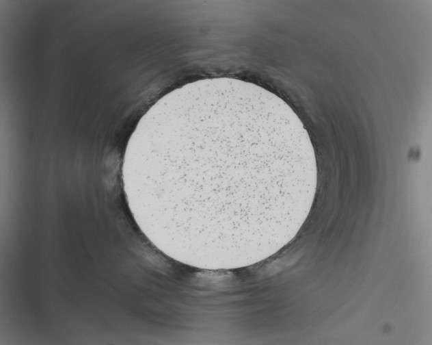 X0000116870480201001191726