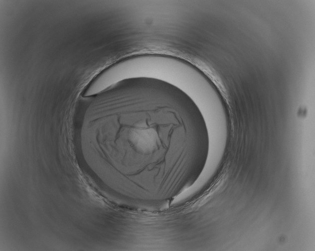 X0000116870481201001191726