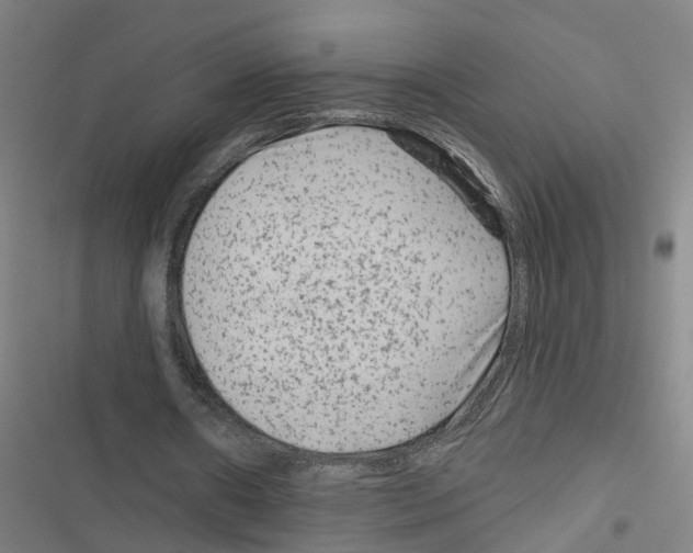 X0000116870482201001191726