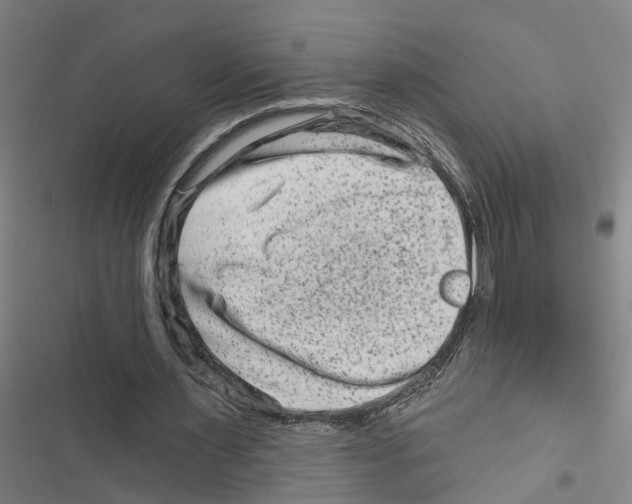 X0000116870483201001191726