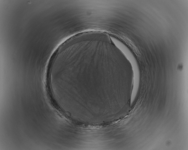 X0000116870484201001191726