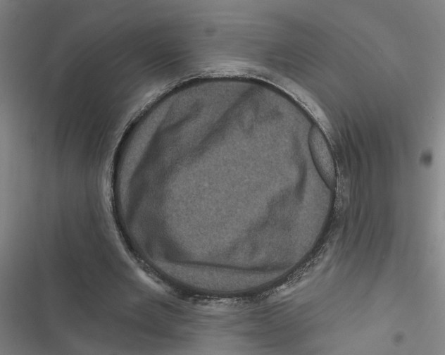 X0000116870485201001191726