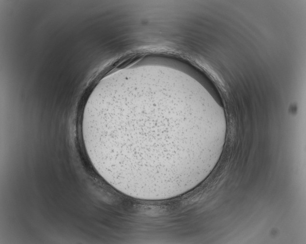 X0000116870486201001191726