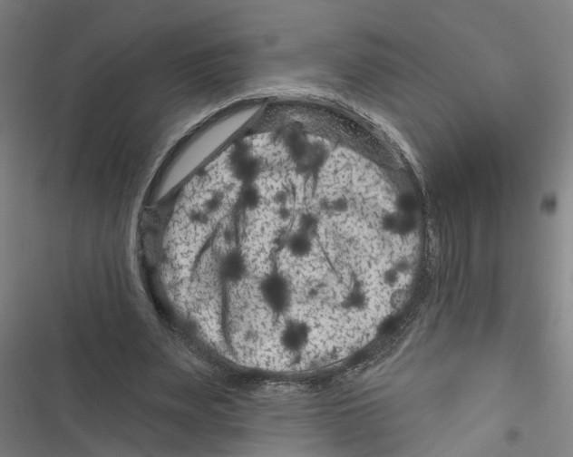X0000116870487201001191726