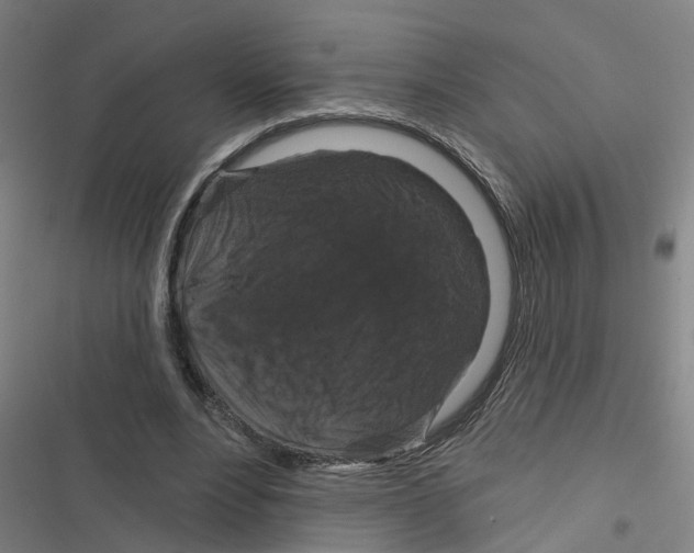 X0000116870488201001191726
