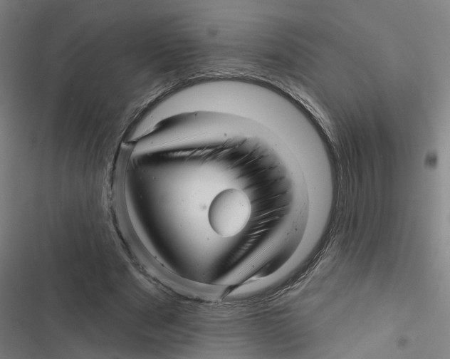 X0000116870489201001191726