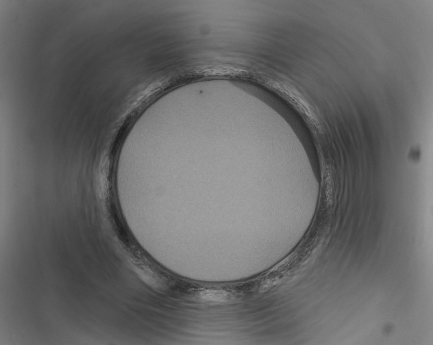 X0000116870490201001191726