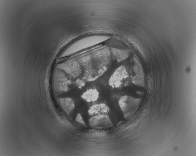 X0000116870491201001191726