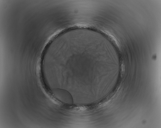 X0000116870492201001191726