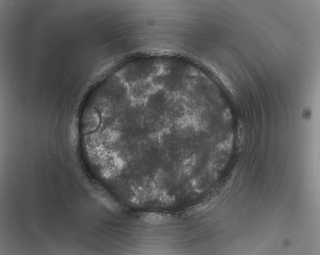 X0000116870494201001191726