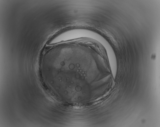 X0000116870496201001191725