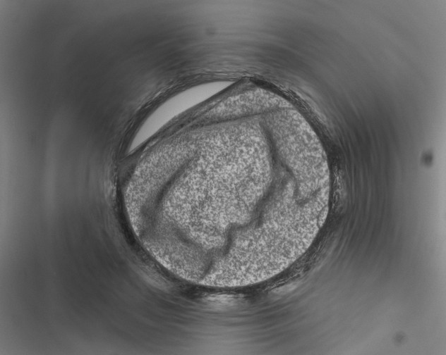 X0000116870499201001191725