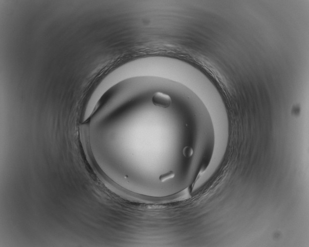 X0000116870501201001191725
