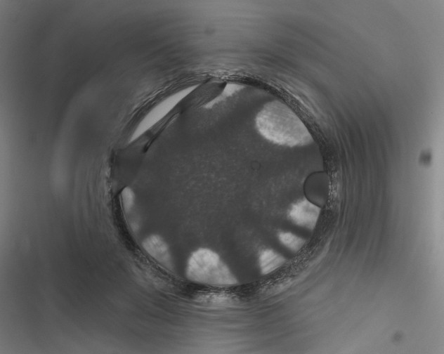 X0000116870503201001191725