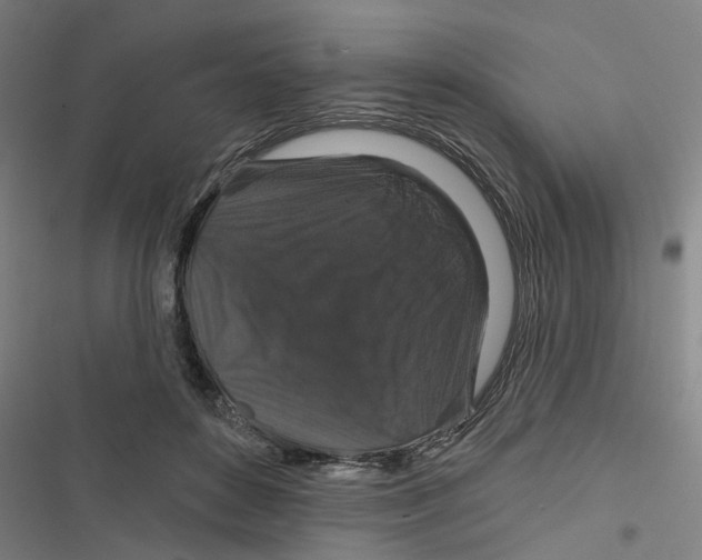X0000116870504201001191725