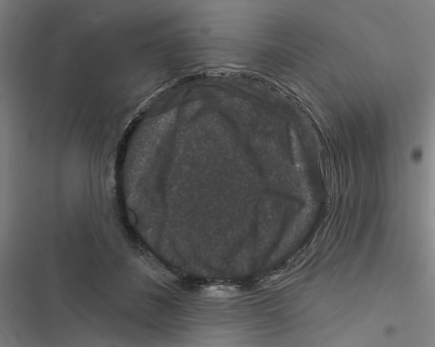 X0000116870508201001191725